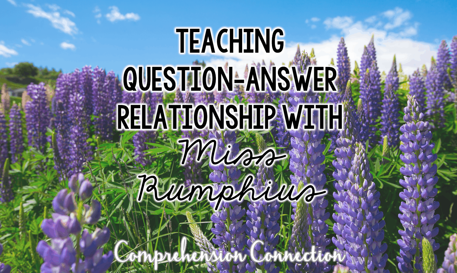 Teaching Question Answer Relationships With Miss Rumphius Comprehension Connection